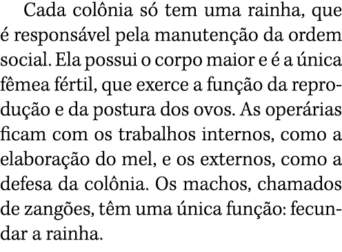 Cada colônia só tem uma rainha, que é responsável pela manutenção da ordem social  Ela possui o corpo maior e é a úni   