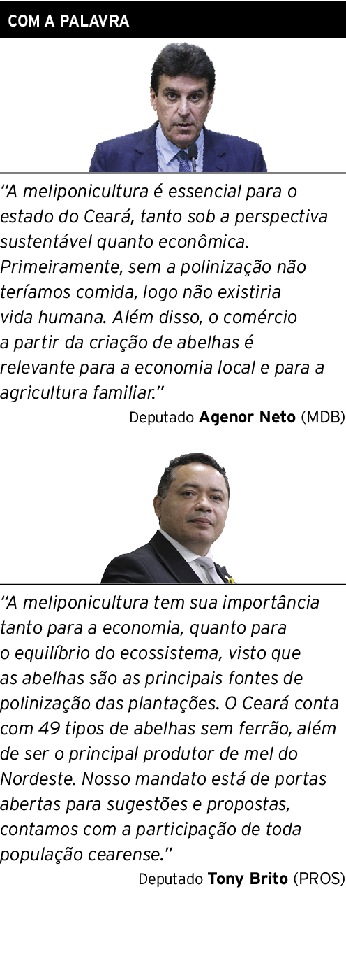 COM A PALAVRA   A meliponicultura é essencial para o estado do Ceará, tanto sob a perspectiva sustentável quanto econ   