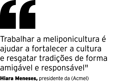  Trabalhar a meliponicultura é ajudar a fortalecer a cultura e resgatar tradições de forma amigável e responsável   H   