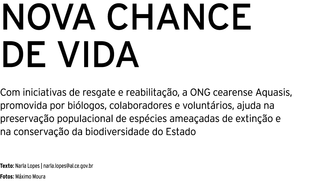 NOVA CHANCE DE VIDA Com iniciativas de resgate e reabilitação, a ONG cearense Aquasis, promovida por biólogos, colabo   