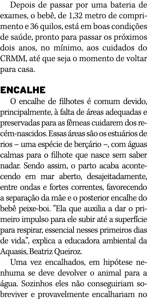 Depois de passar por uma bateria de exames, o bebê, de 1,32 metro de comprimento e 36 quilos, está em boas condições    