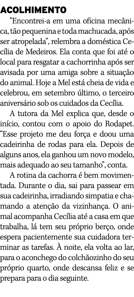 ACOLHIMENTO  Encontrei-a em uma oficina mecânica, tão pequenina e toda machucada, após ser atropelada , relembra a do   
