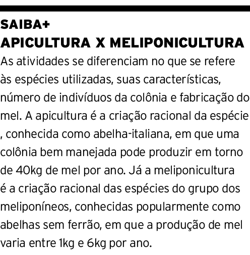SAIBA+ APICULTURA X MELIPONICULTURA As atividades se diferenciam no que se refere às espécies utilizadas, suas caract   