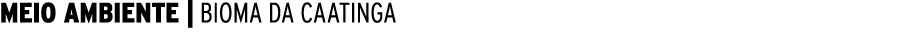  MEIO AMBIENTE   BIOMA DA CAATINGA 