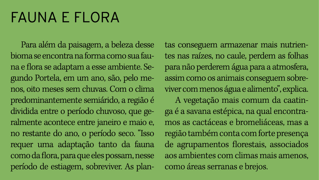 FAUNA E FLORA Para além da paisagem, a beleza desse bioma se encontra na forma como sua fauna e flora se adaptam a es   