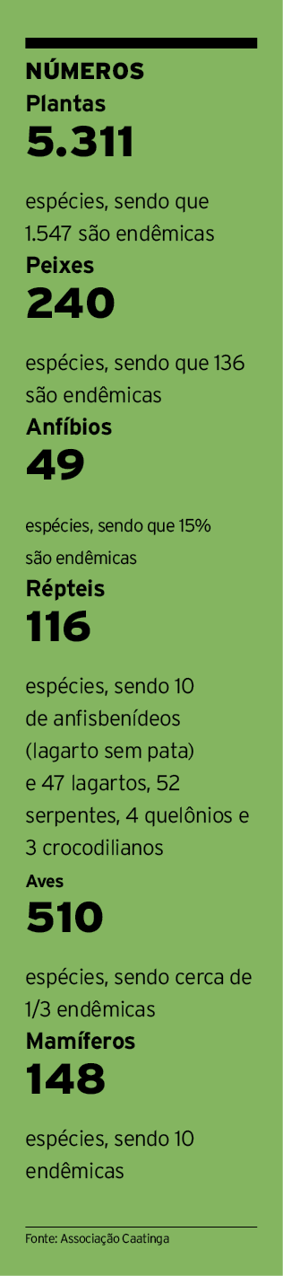 Números Plantas 5 311 espécies, sendo que 1 547 são endêmicas Peixes 240 espécies, sendo que 136 são endêmicas Anfíbi   