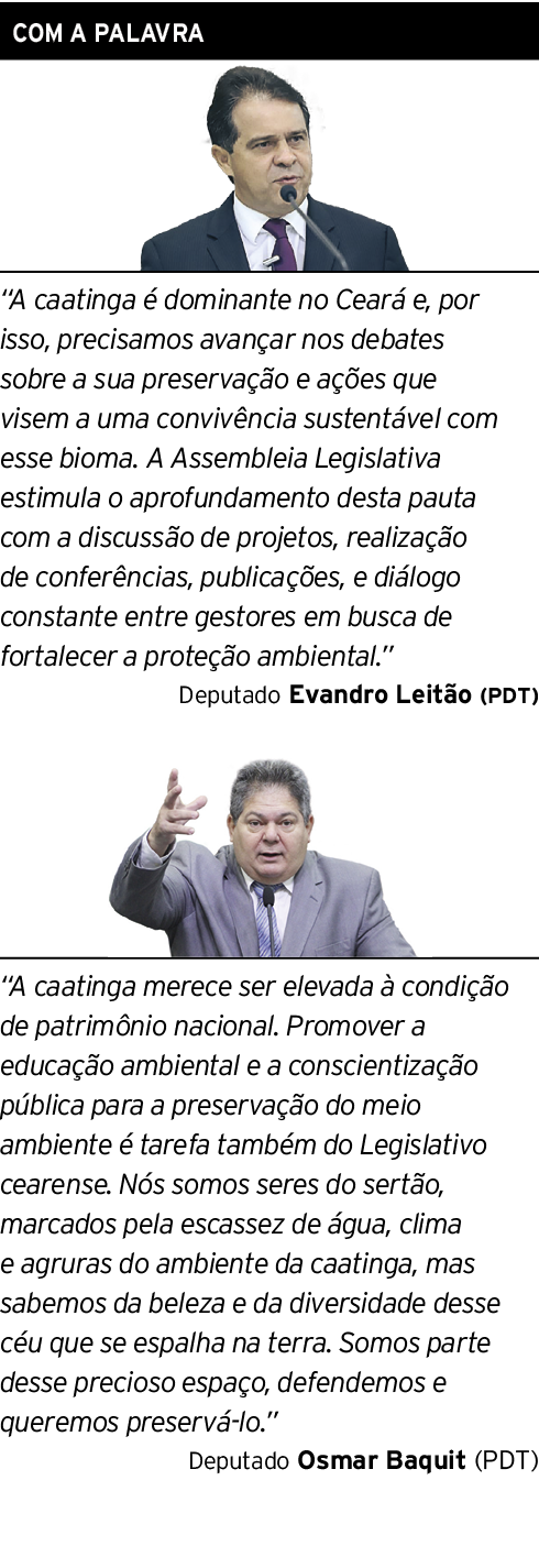 Com a palavra   A caatinga é dominante no Ceará e, por isso, precisamos avançar nos debates sobre a sua preservação e   