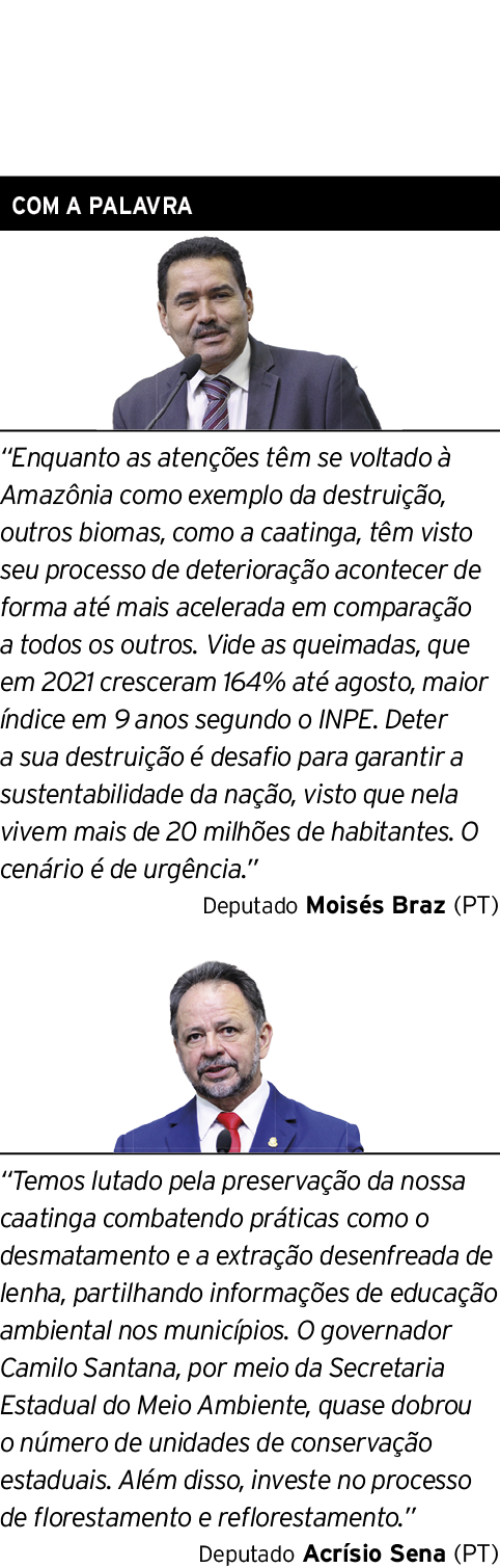 com a palavra   Enquanto as atenções têm se voltado à Amazônia como exemplo da destruição, outros biomas, como a caat   