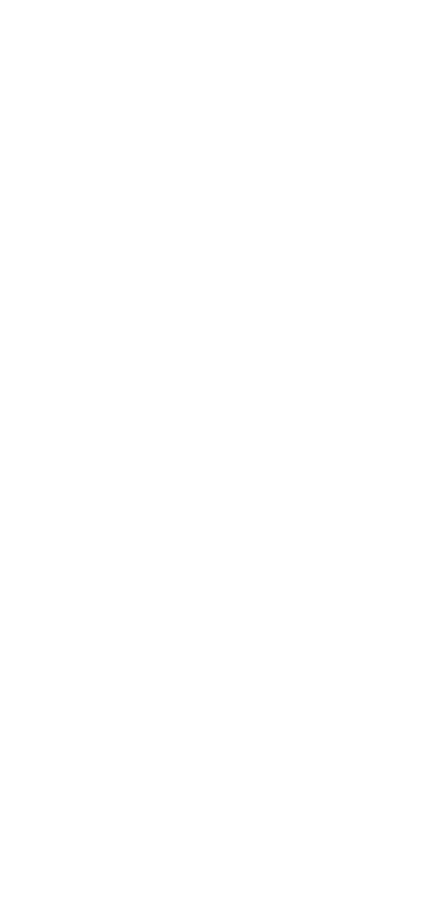 AS GALERIAS TÊM FUTURO Cada galeria possui uma identidade própria, com valor arquitetônico e histórico  Com o avanço    
