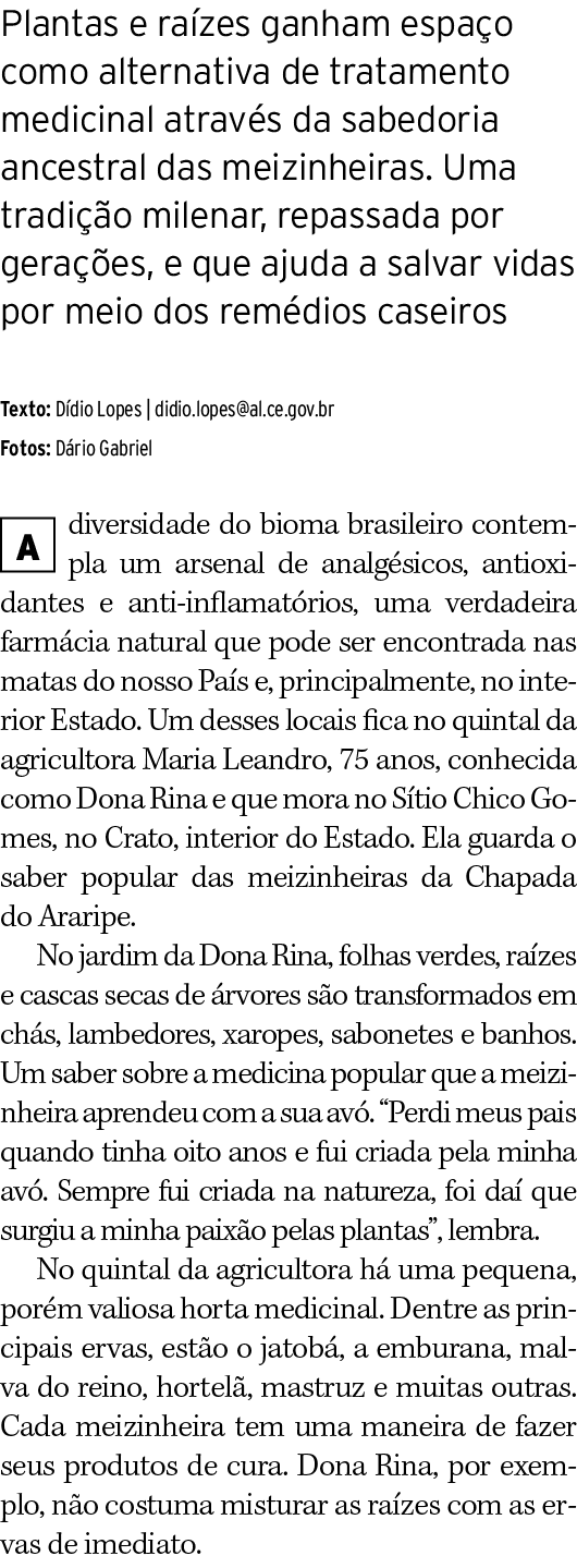 Plantas e ra zes ganham espa o como alternativa de tratamento medicinal atrav s da sabedoria ancestral das meizinheir...