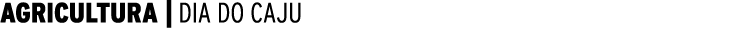 AGRICULTURA | DIA DO CAJU 
