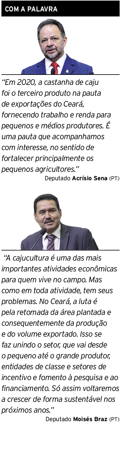 COM A PALAVRA ￼ “Em 2020, a castanha de caju foi o terceiro produto na pauta de exporta es do Cear , fornecendo trab...