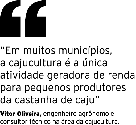 ￼ “Em muitos munic pios, a cajucultura  a  nica atividade geradora de renda para pequenos produtores da castanha de ...