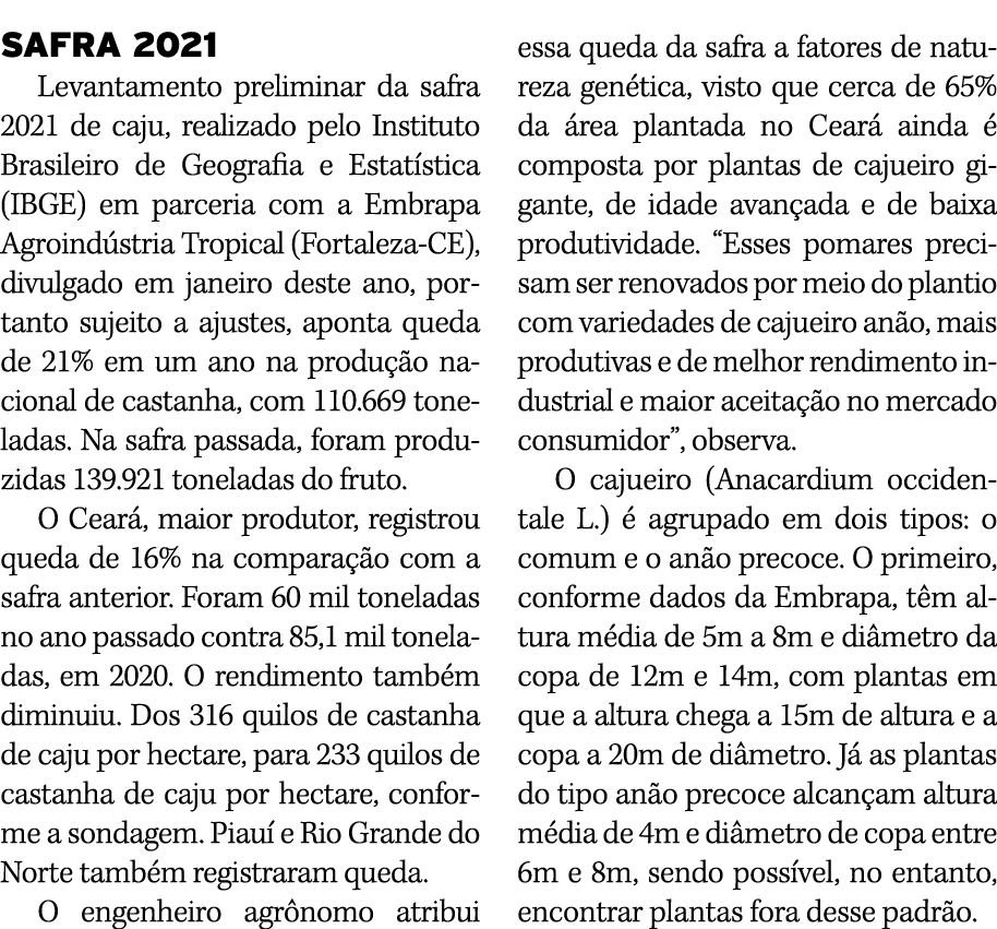 SAFRA 2021 Levantamento preliminar da safra 2021 de caju, realizado pelo Instituto Brasileiro de Geografia e Estat st...