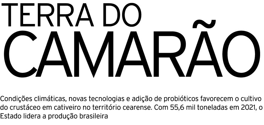 TERRA DO CAMAR O Condi es clim ticas, novas tecnologias e adi  o de probi ticos favorecem o cultivo do crust ceo em ...