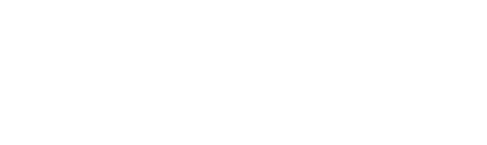 “Liberdade  n o ter medo” Cantora Nina Simone 
